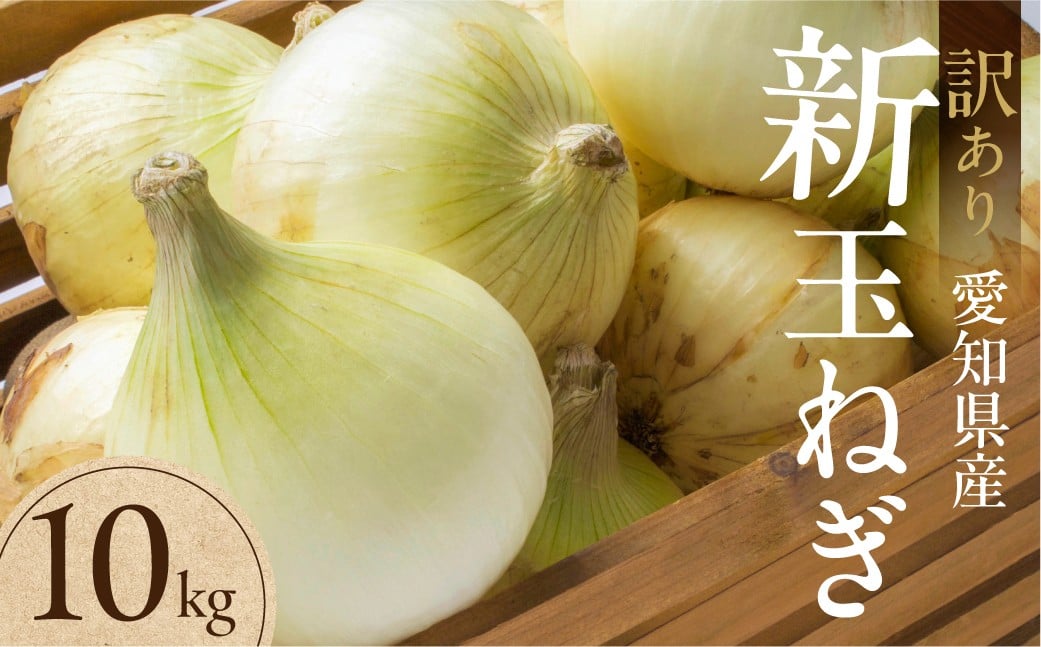 
            新玉ねぎ 大玉 訳あり 10kg（小傷・変形）10キロ 新玉 玉ねぎ タマネギ 玉葱 野菜 旬 旬の野菜 甘い サラダ 健康 農家 やさい わけあり ワケアリ 規格外 自宅 家庭 お取り寄せ 人気 鮮度 新鮮 生 糖度 愛知県 豊橋市
          