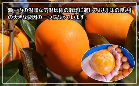 訳あり 富有柿 約7kg (約25個～30個) 柿 かき 果物 フルーツ
