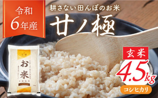 ＼安心・安全・おいしい／【令和6年産 新米】玄米「廿ノ極」（4.5kg）コシヒカリ 米 お米  多治見市/廿原ええのお  [TCI001]