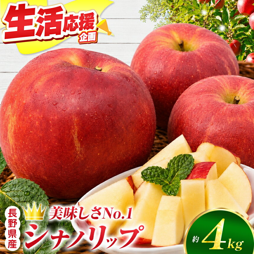 【ふるさと納税】 りんご シナノリップ 信州産の夏りんご 美味しさNO.1 さわやかな酸味 シナノリップ 約4kg | 果物 フルーツ 林檎 りんご シナノリップ 長野県 オリジナル 品種 伊那市 【012-64】8月中旬発送