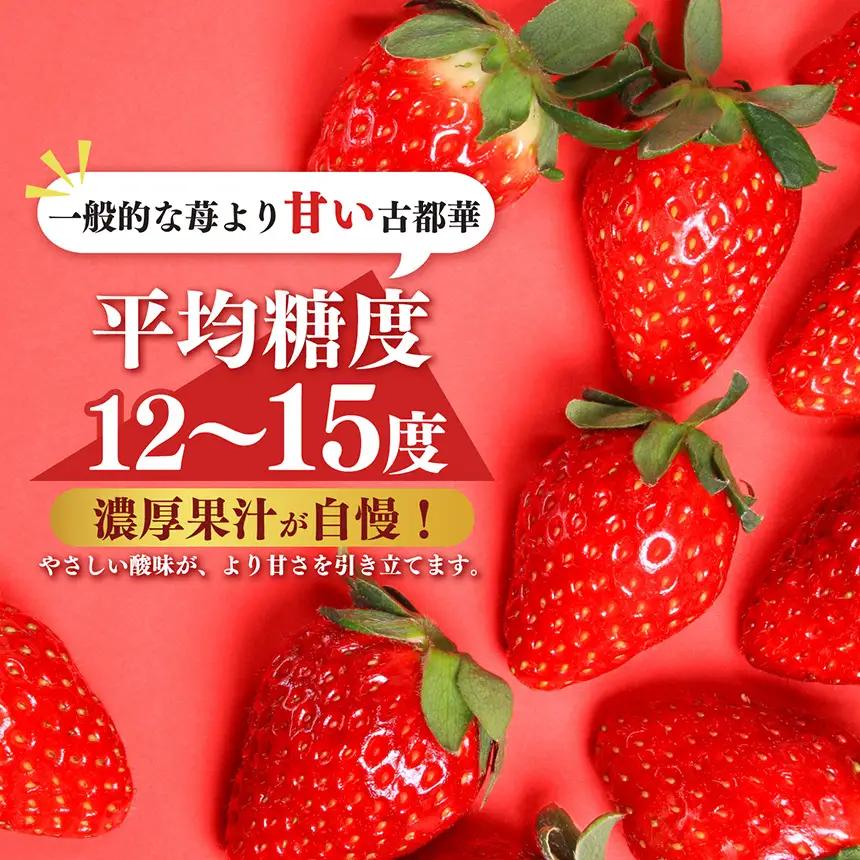 AO04 朝採りの新鮮な古都華４L～5L 500ｇ以上 いちごいちえ | 果物 くだもの フルーツ 苺 イチゴ いちご ストロベリー 古都華 ことか 希少 濃厚コク 芳醇 果肉 しっとり 旬の品種 奈