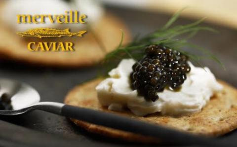 	【定期便：年12回】【純国産宮崎キャビア】メルベイユキャビア240g<20g×12回>