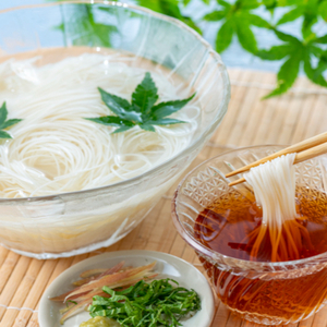 稲庭古来そうめん お徳用袋入り160g×3袋【(有)稲庭古来堂】[A1405]