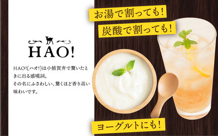 HAO！ジンジャーシロップ 160g×2  [DAA015]