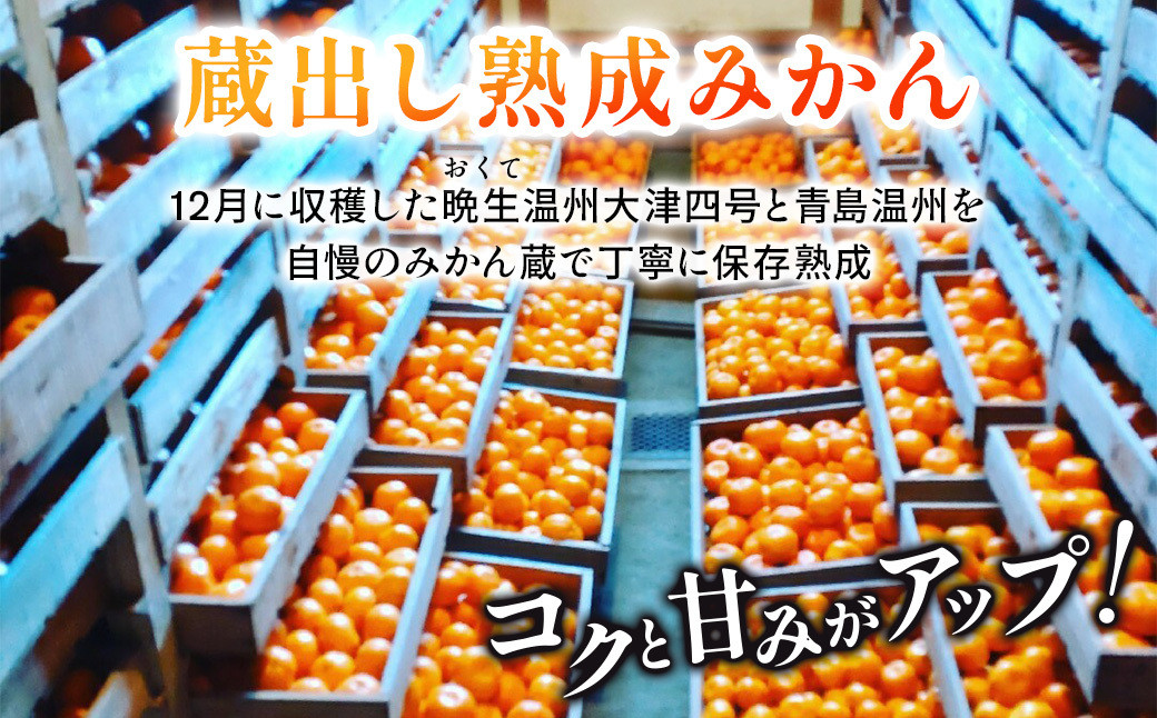 自慢のみかん蔵で丁寧に貯蔵熟成いたします