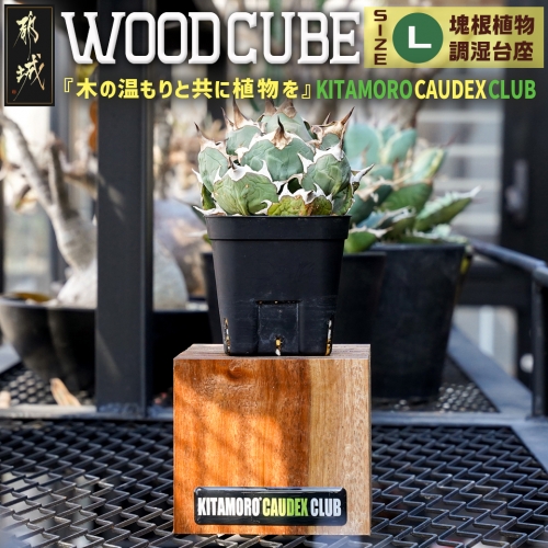 WOOD CUBE Lサイズ～あい言葉は『木の温もりと共に植物を』～_12-K101