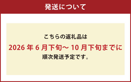 ミニトマト「北海道ルビー」約3kg バラ 野菜 高糖度 北海道 浦臼町 【2025年11月下旬迄発送】