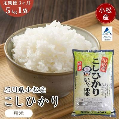 ふるさと納税 小松市 【先行予約】【定期便】 令和8年産 小松市産 こしひかり 精米 5kg×3ヶ月(毎月)