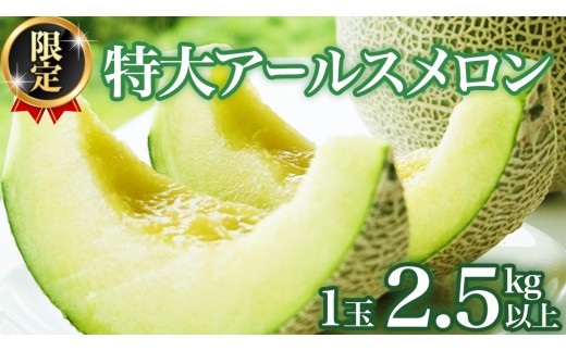 
                  【2026年8月下旬発送開始】 季節 限定 ！ 甘さ満点 特大 アールスメロン 1個 箱 果物 フルーツ 農家直送 産直 青肉メロン 特産品 マスクメロン メロン くだもの 茨城 [BC005sa]
                