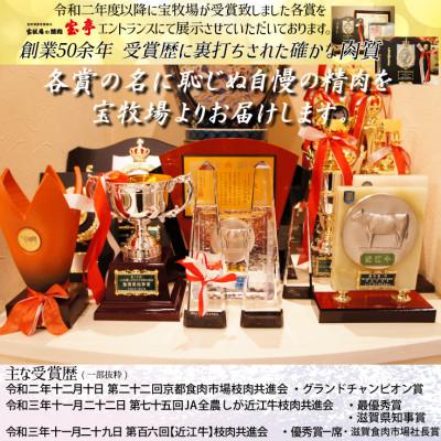 ふるさと納税 高島市 【宝牧場】近江牛ハラミ焼肉500g |  | 03