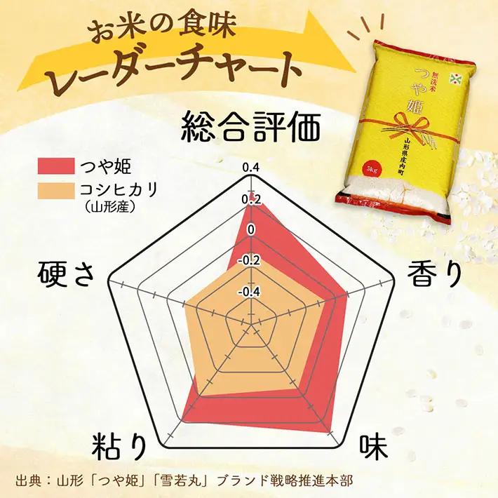 【定期便】＜令和8年産＞つや姫 無洗米 5kg×2袋×6ヶ月 毎月 10kg 特別栽培米 山形県庄内町産 余目産 庄内米 ブランド米 米 コシヒカリの原点、亀の尾発祥の地 お米の定期便 ごはん 粘り 