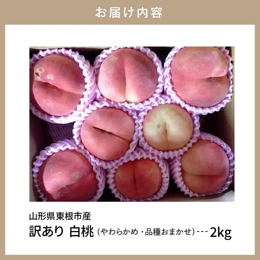 2026年産 訳あり 白桃 (やわらかめ) 品種おまかせ 2kg 白桃