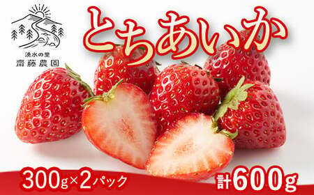 とちあいか（300g×2パック 計600g）風袋入り ｜ 手作り 厳選 農家 特産品 新鮮 フレッシュ ストロベリー 苺 イチゴ 栃木県 塩谷町 ※2026年12月～発送