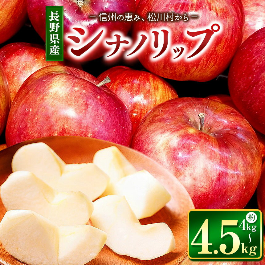 【ふるさと納税】【2025年先行予約】東印平林農園 シナノリップ 約4～4.5kg ｜ リンゴ りんご 林檎 果物 フルーツ 果実 果汁 シナノリップ 長野県 松川村