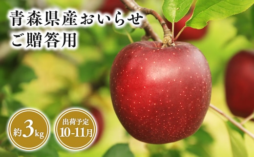 
										
										１０月・１１月発送 贈答用おいらせ3ｋｇ 【そと川りんご園・１０月・１１月・青森県産・平川市・りんご・おいらせ・3ｋｇ・贈答用】
									