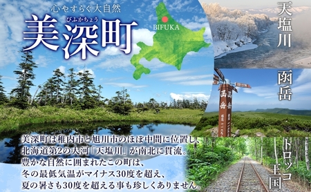 北海道 美深産 とろける甘さの「恋するマロン」冷凍 カットかぼちゃ 3kg(500g×6袋)農の彩北おんねない［KI農園］【 野菜 南瓜 かぼちゃ 栗かぼちゃ カボチャ 惣菜 おかず 】