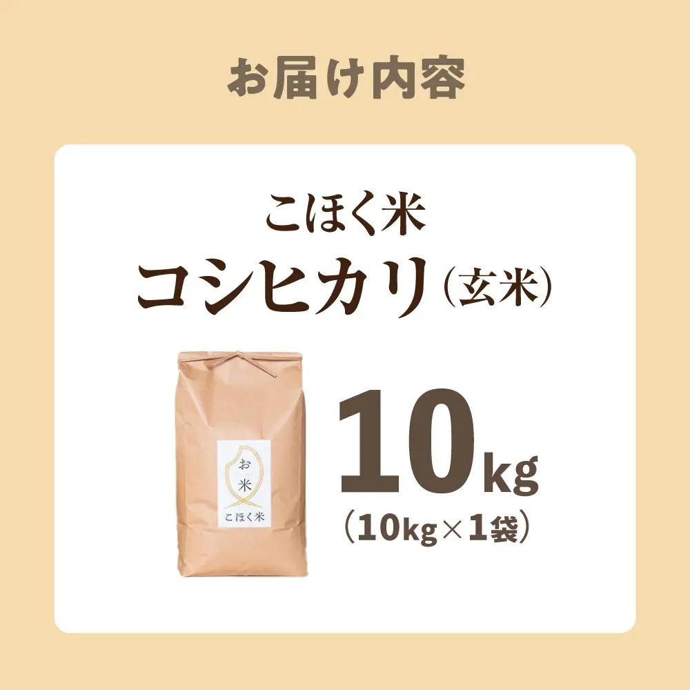 コシヒカリ 玄米10kg[AQAK003] コシヒカリ