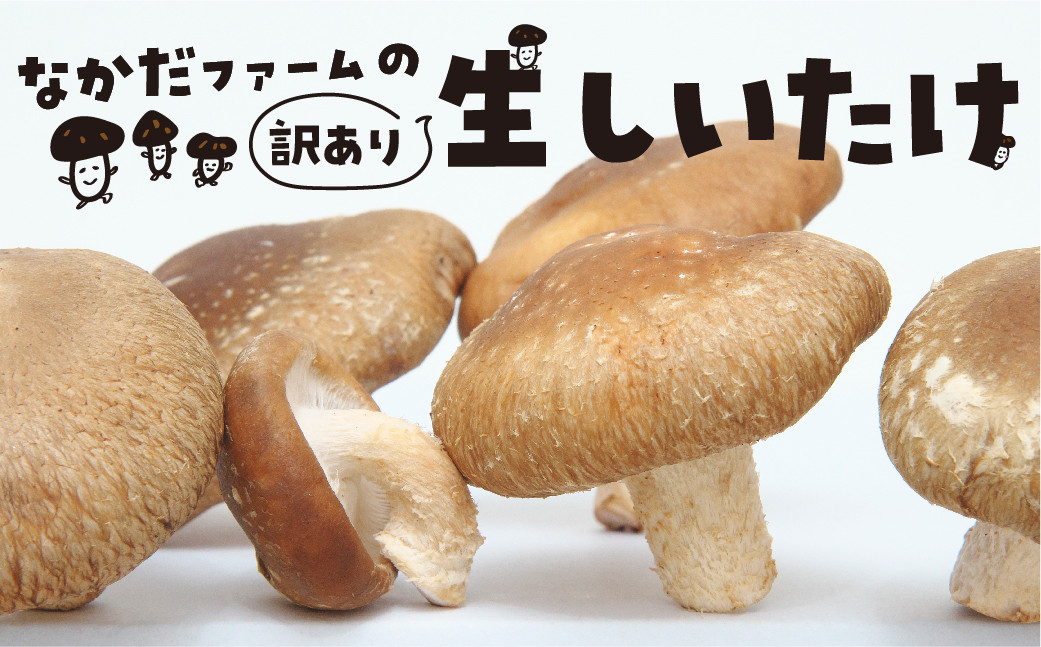 
            【先行予約】《訳あり》なかだファーム 訳あり しいたけ 選べる内容量  約800g（200g×4）約1.5kg（250g×6） 椎茸 個包装 詰め合わせ 便利 
          
