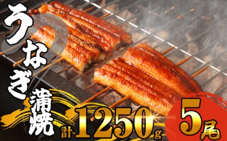 ふっくら肉厚 有頭 うなぎ蒲焼 5尾 1250g SF011-2