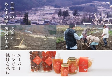おいしさギュッと凝縮 信州産 干熟 ドライあんず 100g×3袋