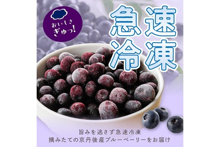 冷凍ブルーベリー／美味しさそのまま摘みたてをハイブリッド冷凍　京丹後産冷凍ブルーベリー1kg／北畿水産　ジャム用 ブルーベリー