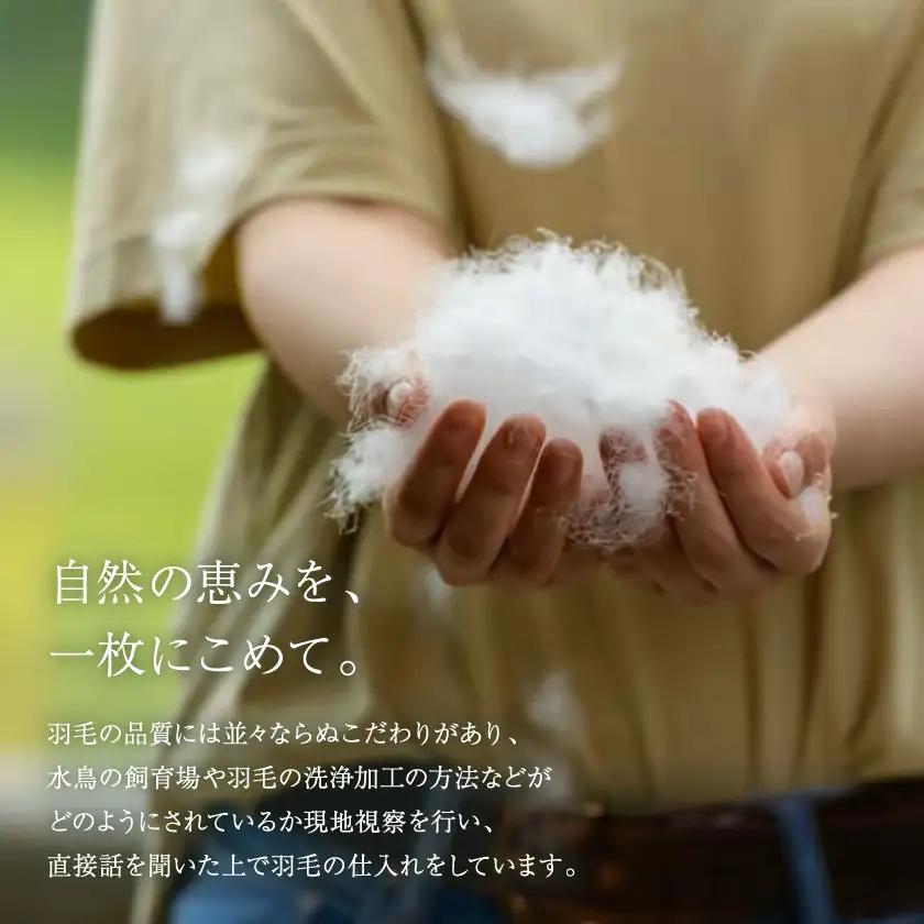 “高品質”にこだわり続けて誕生した羽毛ふとん【ドリブラン】シングルサイズ【1142317】