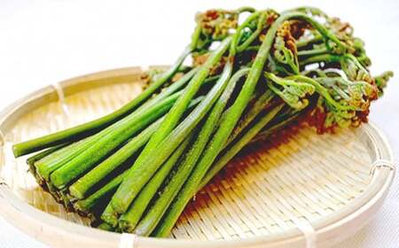【5月中旬発送開始予定】 期間限定 天然山菜 わらび 約800g ／ ワラビ 蕨 山菜 さんさい 採れたて 春の味覚 旬 旬野菜 春野菜 春の野菜 春の山菜 季節物 季節野菜 産地直送 季節限定 数量