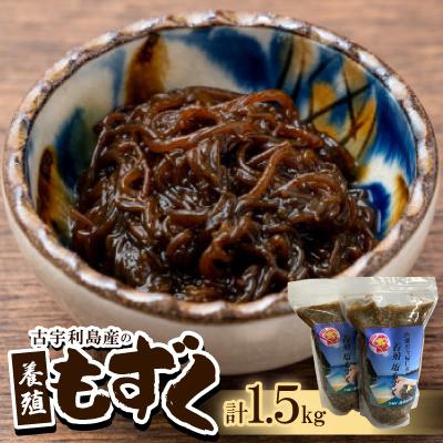 ふるさと納税 今帰仁村 古宇利島産の養殖もずく1.5kg(500g×3P)