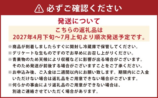 熊本産 小玉すいか＆肥後グリーンメロン【2027年4月下旬～7月上旬迄順次発送予定】すいか メロン 果物 フルーツ