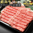 定期便5回 飛騨牛 肩ロース 500g× 5回