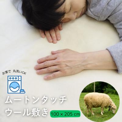ふるさと納税 橋本市 洗えるムートンタッチウール敷き