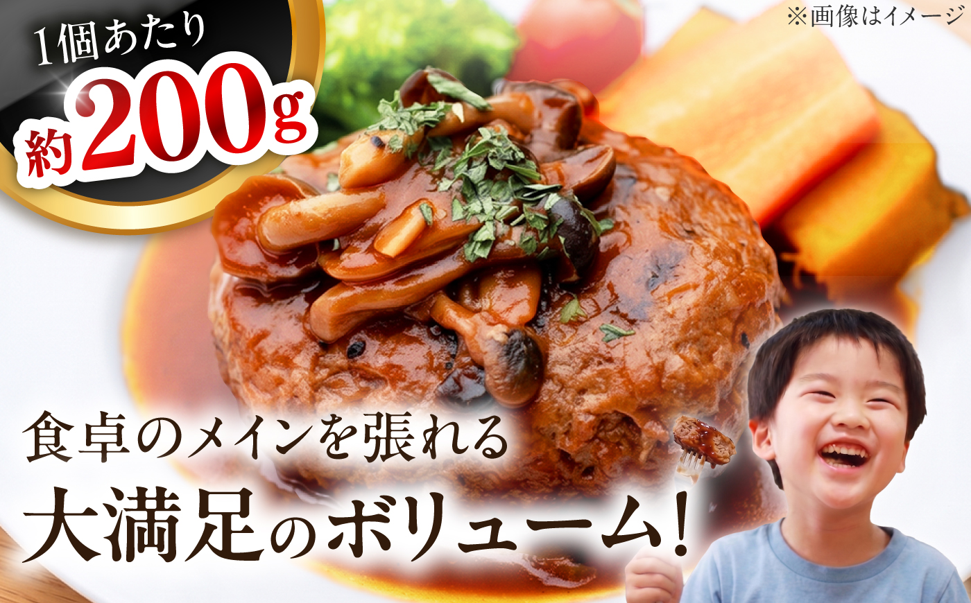 ハンバーグ デミグラスハンバーグ 10個 / 冷凍 惣菜 おかず 晩御飯 洋食 簡単調理 簡単 時短 肉 個包装 / 愛媛県砥部町/株式会社sopiro [BJCQ001]