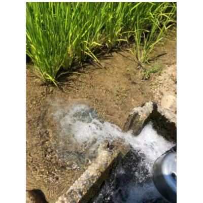 ふるさと納税 五泉市 【毎月定期便】特別栽培米コシヒカリ「南郷米」玄米5kg(5kg×1袋)全12回 |  | 02