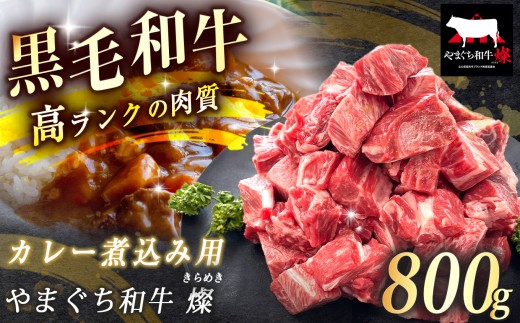 数量限定！選べる 極上牛肉 やまぐち和牛 燦 (きらめき) カレー煮込み用 800g ｜ 山口 県 美祢市 牛肉 ブランド牛 黒毛和牛 カレー 煮込み カレー煮込み 牛 肉 お肉 にく