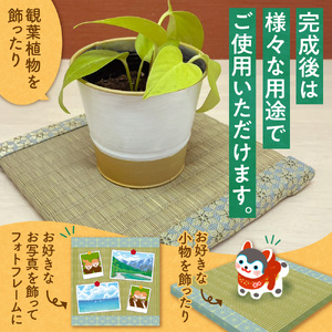 豆畳製作キット