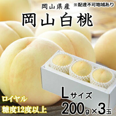 【ふるさと納税】桃 2026年 先行予約 岡山 白桃 ロイヤル 3玉×約200g（Lサイズ）JAおかやまのもも（早生種・中生種） もも モモ 岡山県産 国産 フルーツ 果物 ギフト 　お届け：2026年7月上旬〜2026年8月中旬