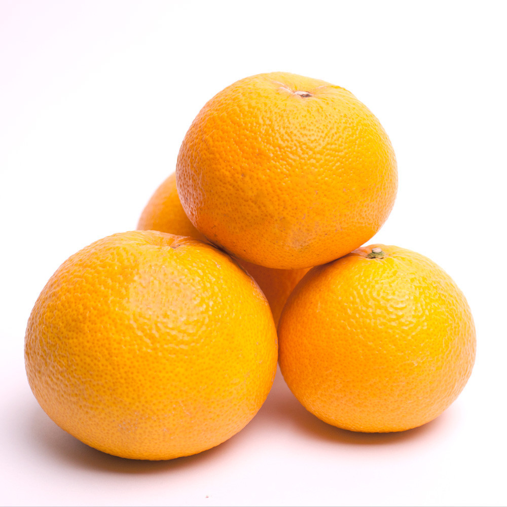 厳選 樹上完熟はっさく 10kg+250g（傷み補償分）［有田の春みかん・五月八朔・木生りはっさく］［光センサー選別］ ［IKE276］