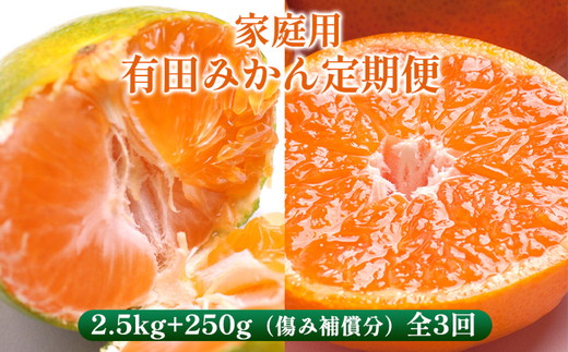 〈定期便〉【10・11・12月 全3回】家庭用 有田みかん定期便 2.5kg+250g（傷み補償分）※北海道・沖縄・離島への配送不可