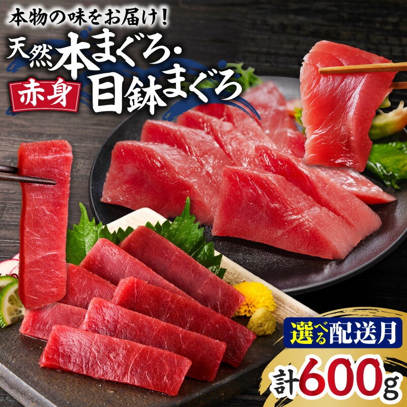 【ふるさと納税】＜選べる配送時期＞ 本物の味をお届け 天然 まぐろ 赤身づくし お刺身 セット 本まぐろ 赤身 2柵 目鉢まぐろ 赤身 2柵 600g まぐろ マグロ 鮪 メバチマグロ 三崎 三崎港 海鮮 魚 魚介 湊魚問屋 神奈川 三浦市 おすすめ ランキング プレゼント ギフト