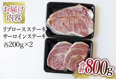 宮崎牛ステーキセット（サーロイン＆リブロース） |牛肉 牛 肉 サーロインステーキ リブロースステーキ