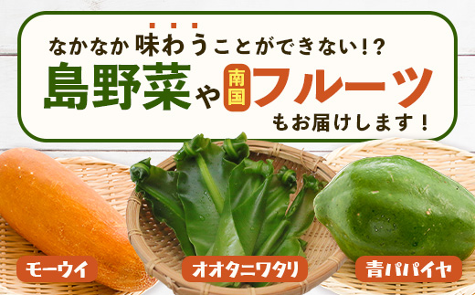 沖縄県 石垣島の野菜・フルーツBOX 1箱 ≪野菜4～5種類、フルーツ1~2種類≫ じょーとーまーさん(とても美味しい) 石垣島の野菜とフルーツの詰め合わせセットをお楽しみください！！CK-4｜沖縄 