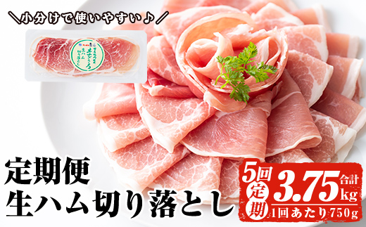 ＜配送時期・回数が選べる・定期便・全5回(連続)＞鹿児島発！国産豚生ハム切り落とし（計3.75kg/計750g・75g×10P×5回） 生ハム おつまみ 小分け 【ナンチク】 T30