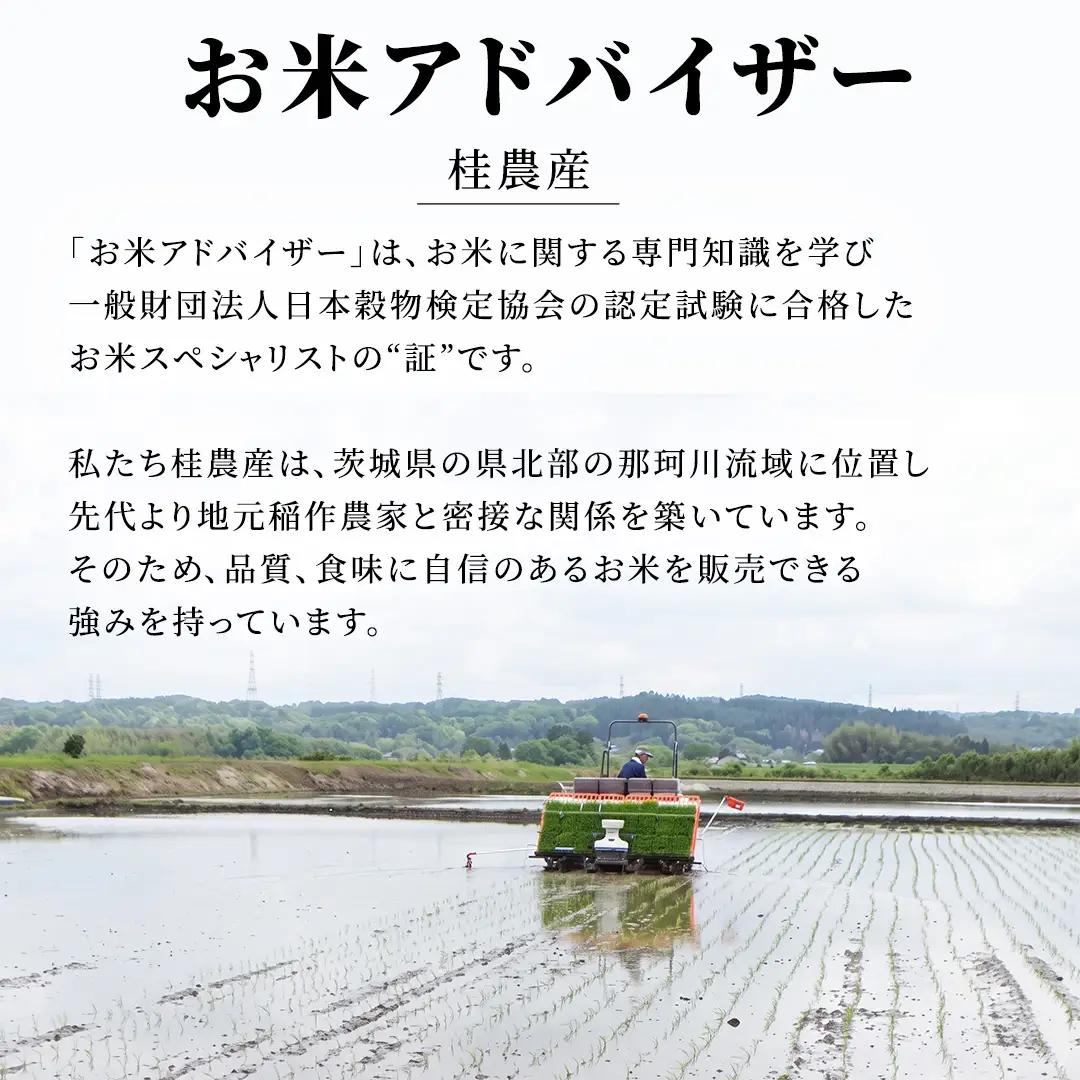 【無洗米】6ヵ月定期便 洗わず炊ける！令和8年産 コシヒカリ ホタル米 10kg × 6ヶ月 産地直送 一人暮らし 単身赴任 キャンプ アウトドア 茨城県 城里町 新米 精白米 米 ご飯 こしひかり 
