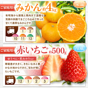 【 定期便 4回 】 3ヵ月毎にお届け！プチっと 堪能 ！ 人気 フルーツ （ いちご 白いちご みかん 不知火 スイカ ぶどう 梨 柿 果物 ）| 果物 くだもの フルーツ 定期 熊本県 玉名市