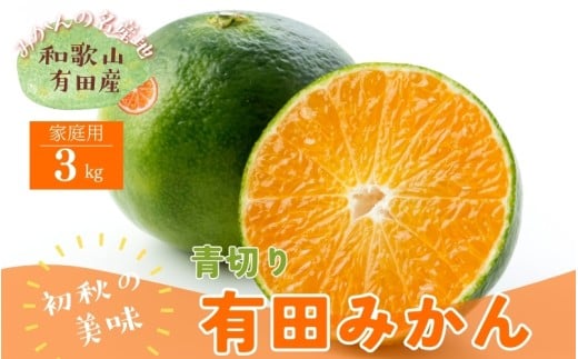 ＜9月中旬～＞【先行予約】有田育ちのご家庭用青切り有田みかん　3kg ※着日指定不可 ※北海道・沖縄・離島は配送不可 ※2025年9月中旬～10月中旬頃に順次発送予定　【ard145A】