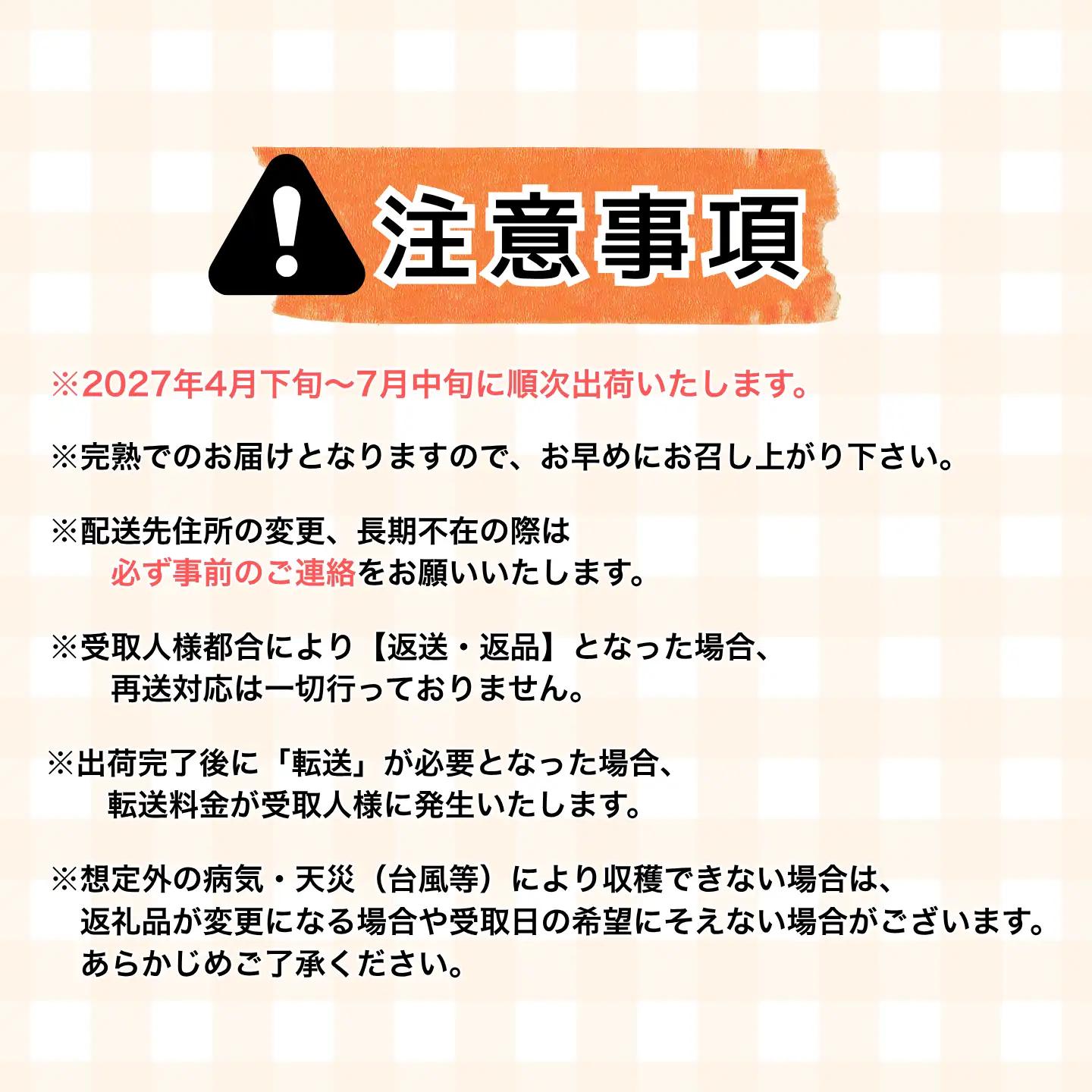 2027年出荷 宮崎 完熟マンゴー4L×2玉 計1kg以上 C357-27
