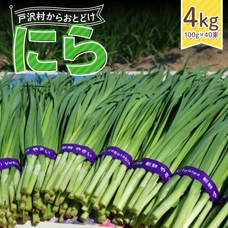 山形県 戸沢村産 にら 4kg(40束) 2026年5月下旬から順次発送 国産 野菜 やさい 韮 ニラ 料理 餃子 炒め物 惣菜 自宅 家庭 F7W-0339