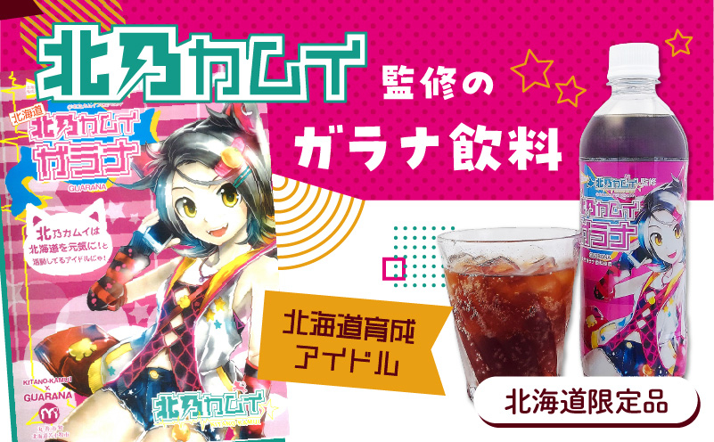 【ガラナ 500ml×24本】北乃カムイ　T057-002