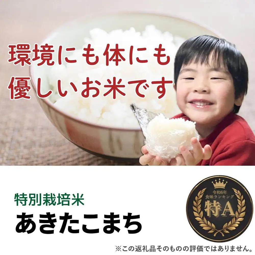 ＜令和8年産 新米受付＞《定期便7ヶ月》米 特別栽培米 あきたこまち【白米】5kg×1袋