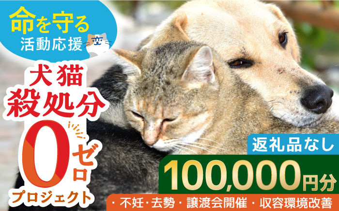 
【お礼の品なし】犬猫殺処分ゼロプロジェクト＜100,000円＞長崎県ふるさと納税[42ZZAE006]
